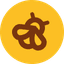Bera Governance Token